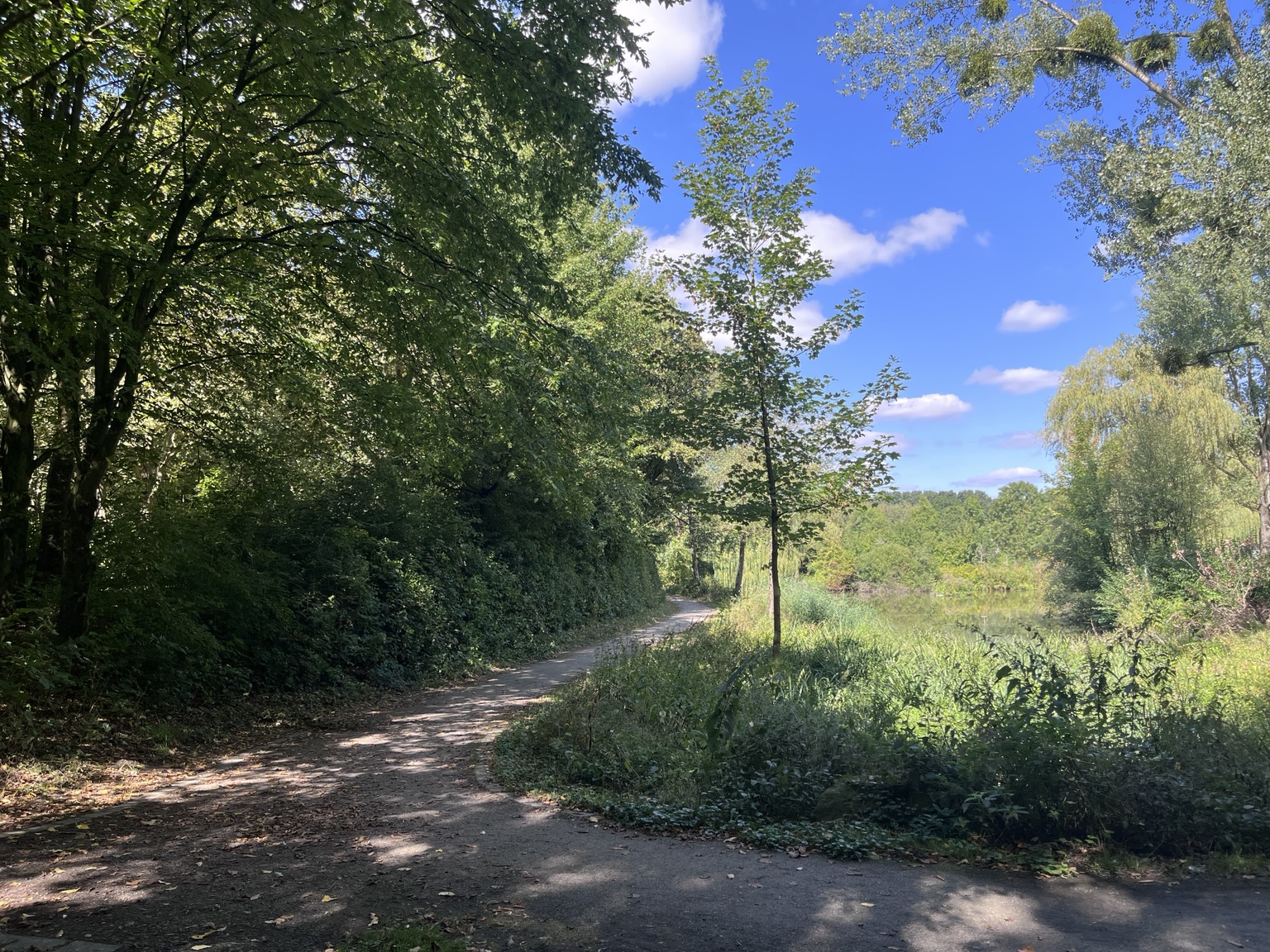 Grüner Weg am Wasser im Selbachpark Hamm – die Runde des Hammer Backyard Ultra